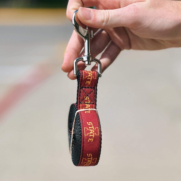 I-State Cardinal Pet Leash (6')